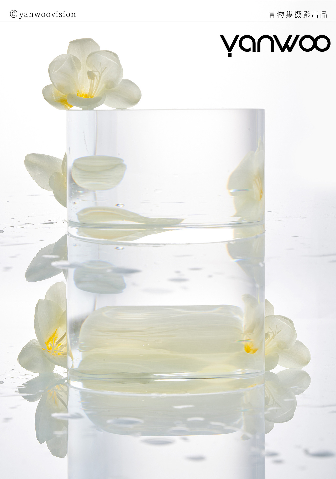 言物集 X MIUMIU |女士香水简约场景产品商业拍摄鲜花