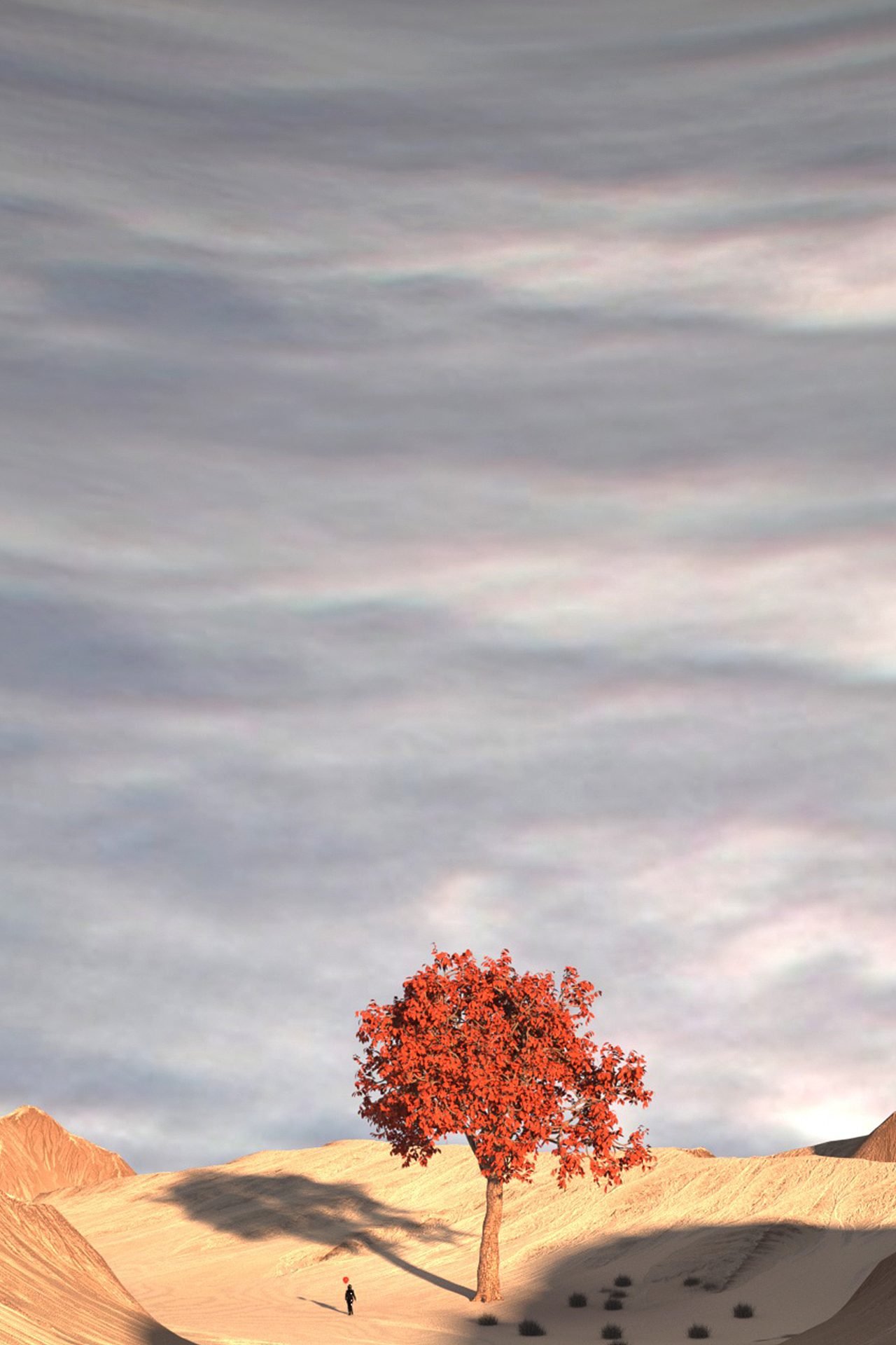 《从心》Sincerely