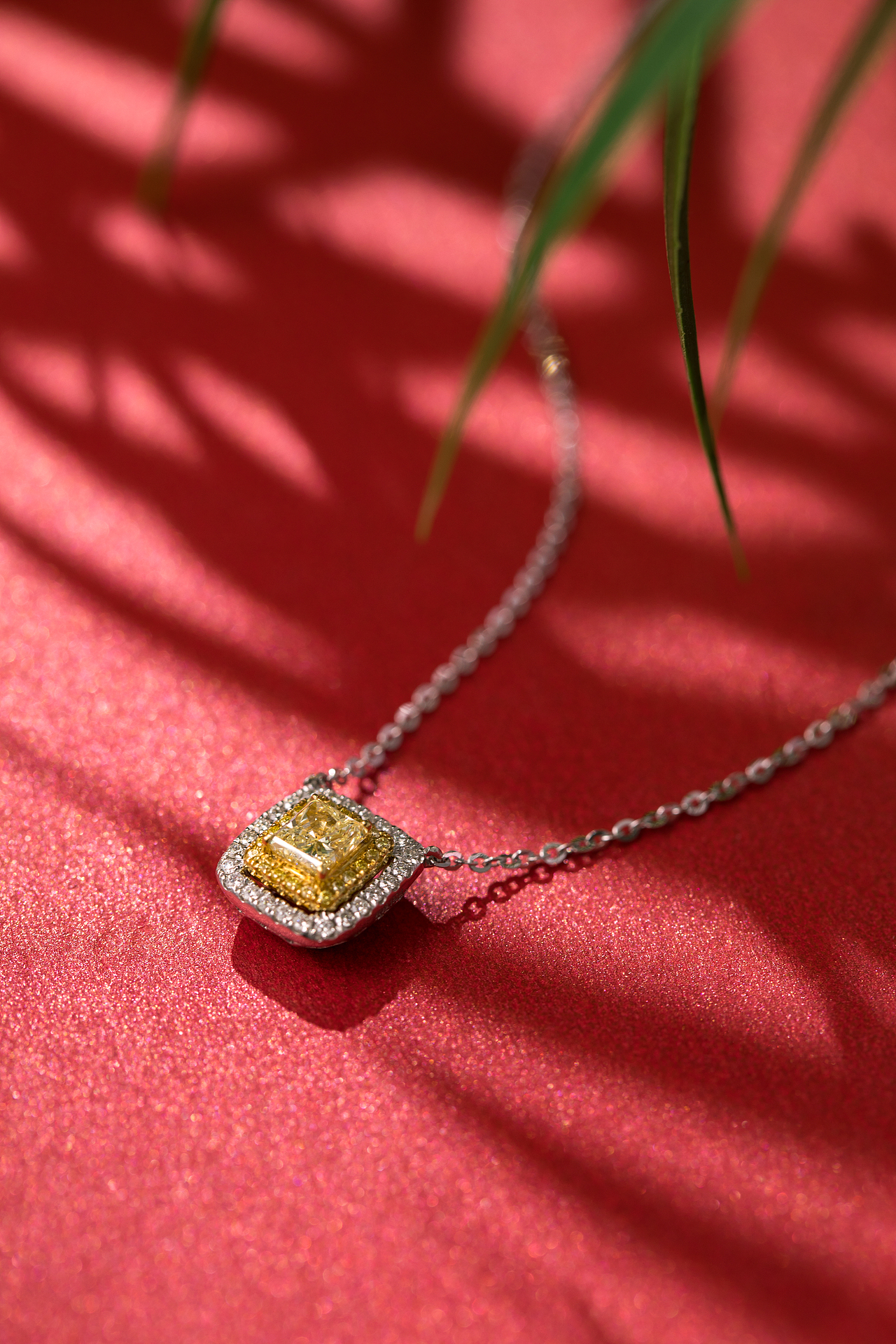 珠宝产品场景拍摄（图ZMjk2ODExOTk2） - 产品摄影 - 站酷设计师HUA2402009032原创素材 - 站酷ZCOOL