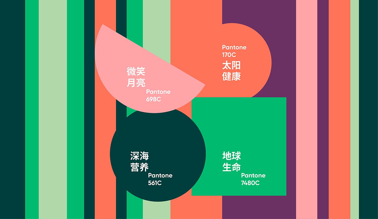 TMG天美健 传统保健品的品牌升级（图ZMzAyNzE0NzM2） - 品牌 - 站酷设计师MantinStudio原创素材 - 站酷ZCOOL