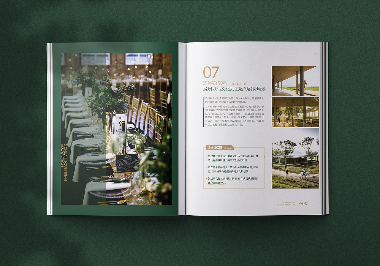 有禧设计 | 某省马术协会简介 伴手画册