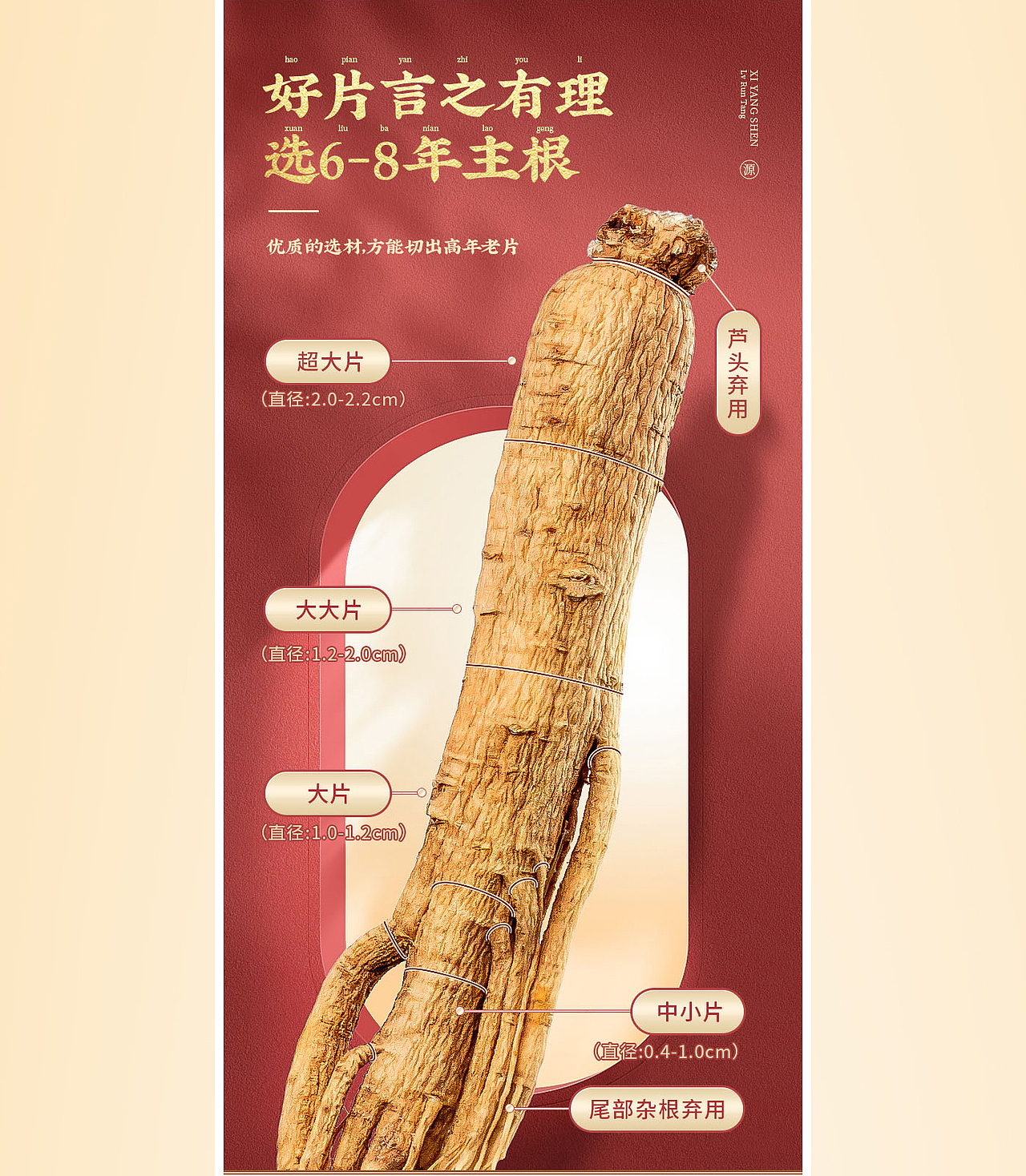 西洋参详情页|插画|人参|滋补品|电商|中药材|包装
