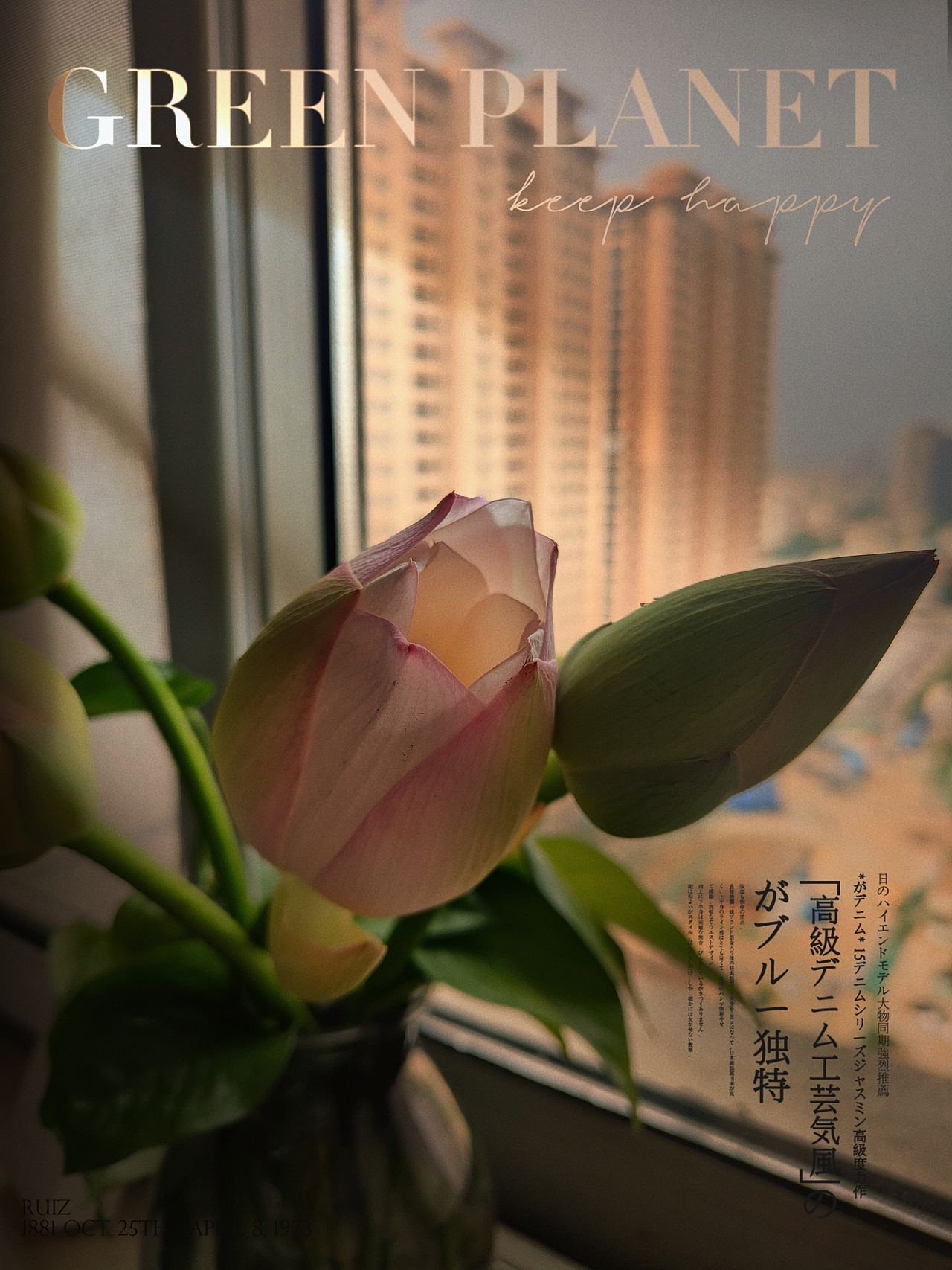 夏天的花开（图ZMzA5NDk4NTEy） - 风光摄影 - 站酷设计师蠢萌小绵羊原创素材 - 站酷ZCOOL