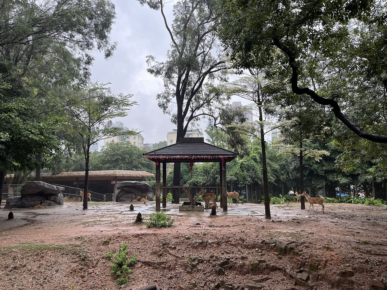 广州-广州动物园