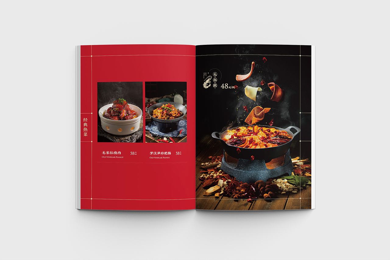 菜谱设计 | 药膳养生 画册设计（图ZMzQ1MTI2NTQ0） - 书籍/画册 - 站酷设计师YUAN原度原创素材 - 站酷ZCOOL