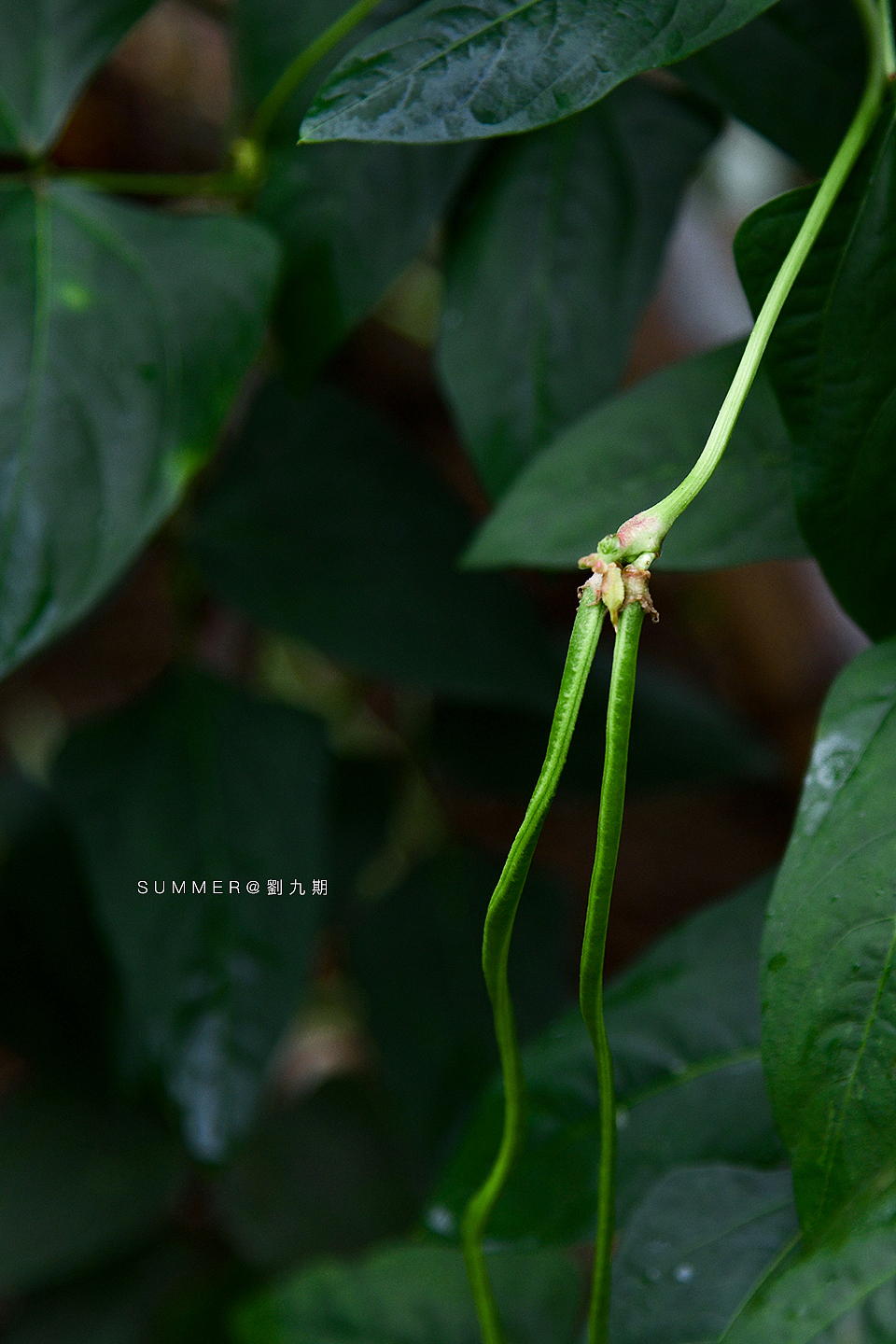 见过很多
依然热爱生活