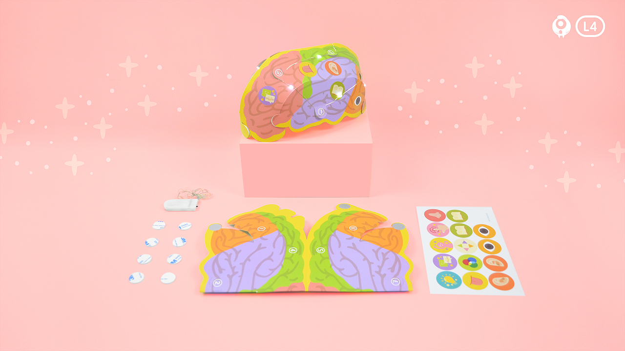 大脑帽子---大脑功能区的秘密