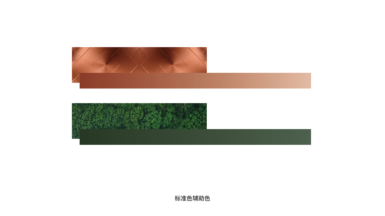 京投发展项目提案飞机稿