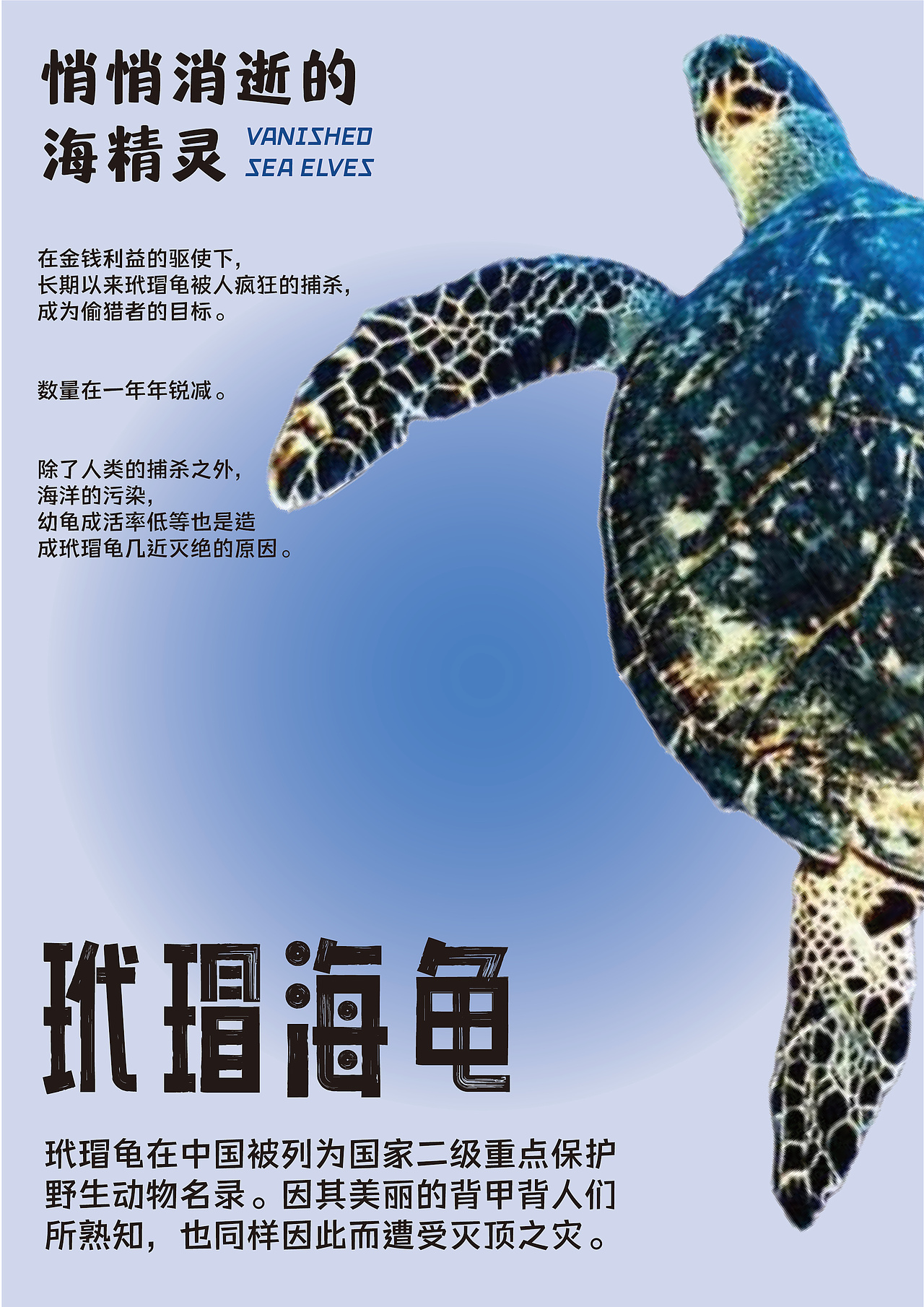 海洋生物海报设计（图ZMzUwNDA4MDM2） - 海报 - 站酷设计师亚克力小雪饼原创素材 - 站酷ZCOOL