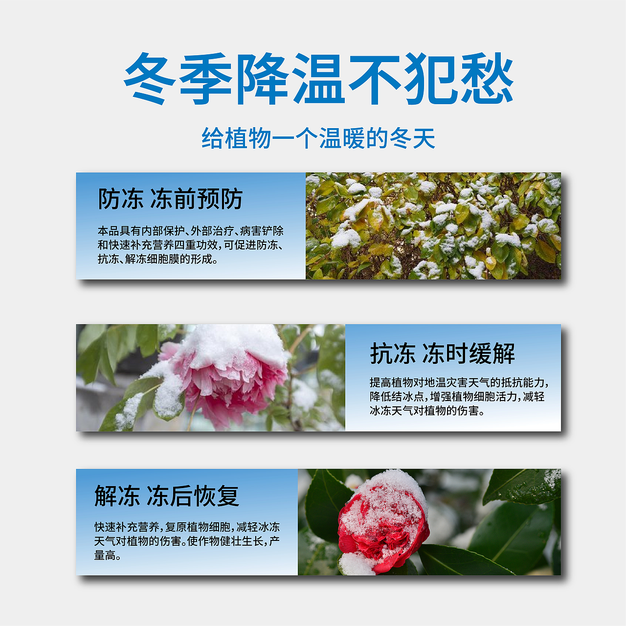 植物防冻液营养素