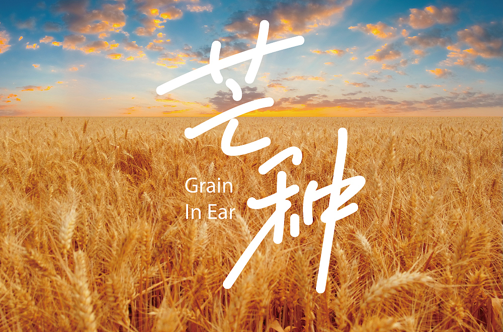 字体帮上榜作品整理（图ZMzY2ODIzMDgw） - 字体/字形 - 站酷设计师124木头人原创素材 - 站酷ZCOOL