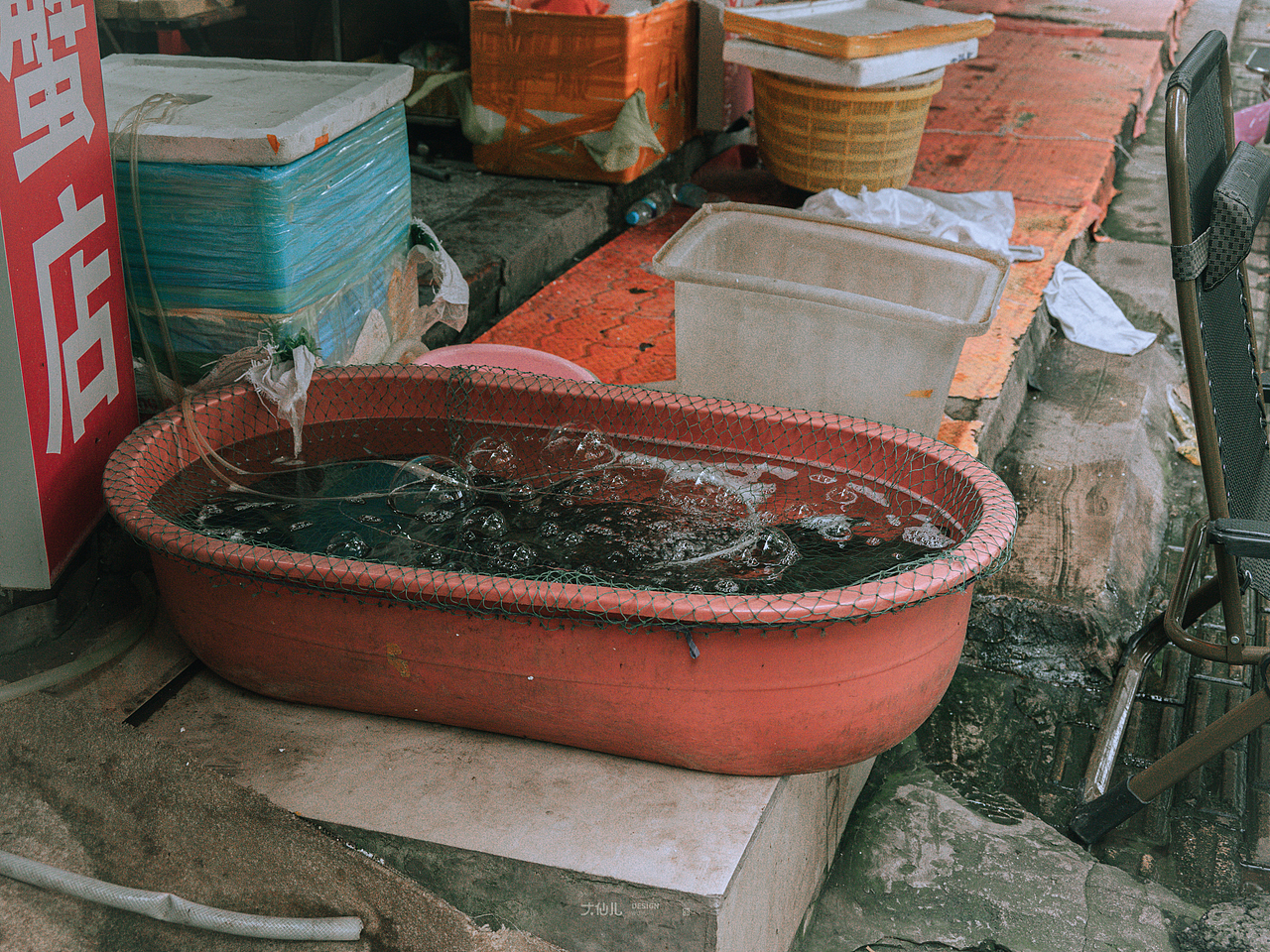 日常记录-我的城市