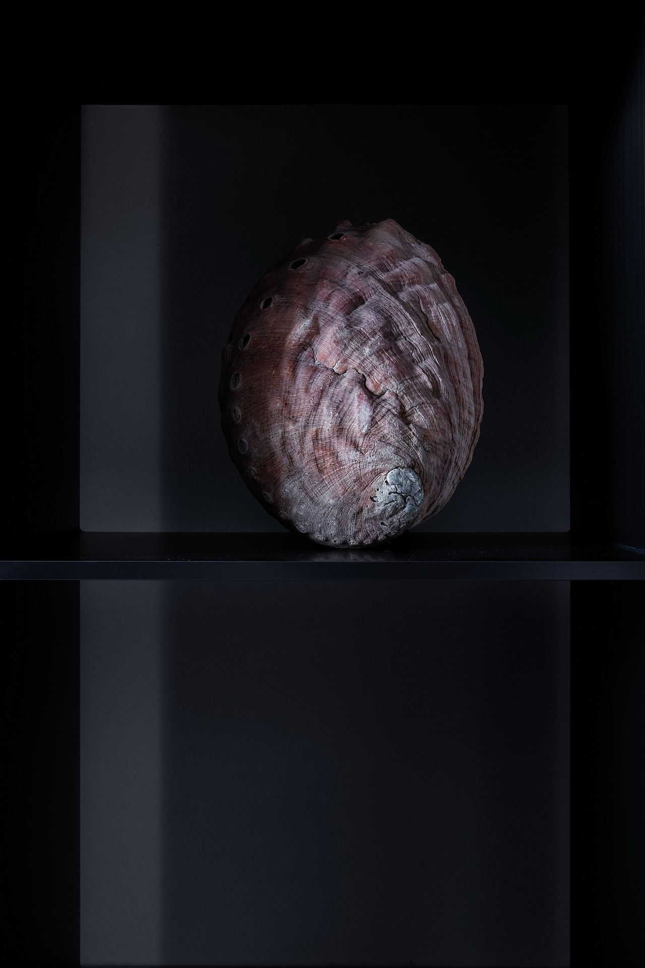 鲍满鲍鱼展示会馆