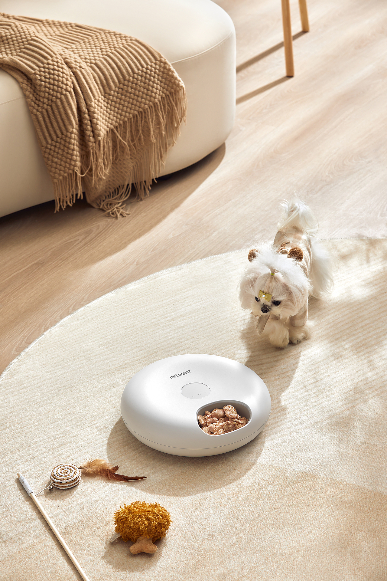 执灰 ✖ 派旺宠物喂投盒 ✖ 小学生（图ZMzYwNDU3MTc2） - 修图/后期 - 站酷设计师小小灰修图师原创素材 - 站酷ZCOOL