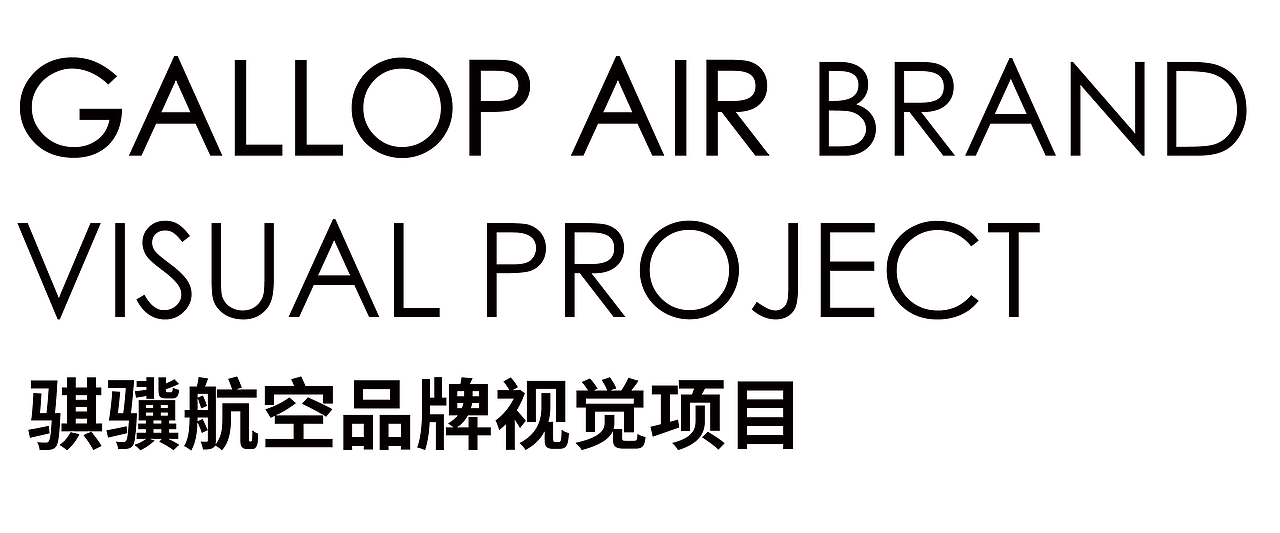 DAKO出品|GallopAir 骐骥航空