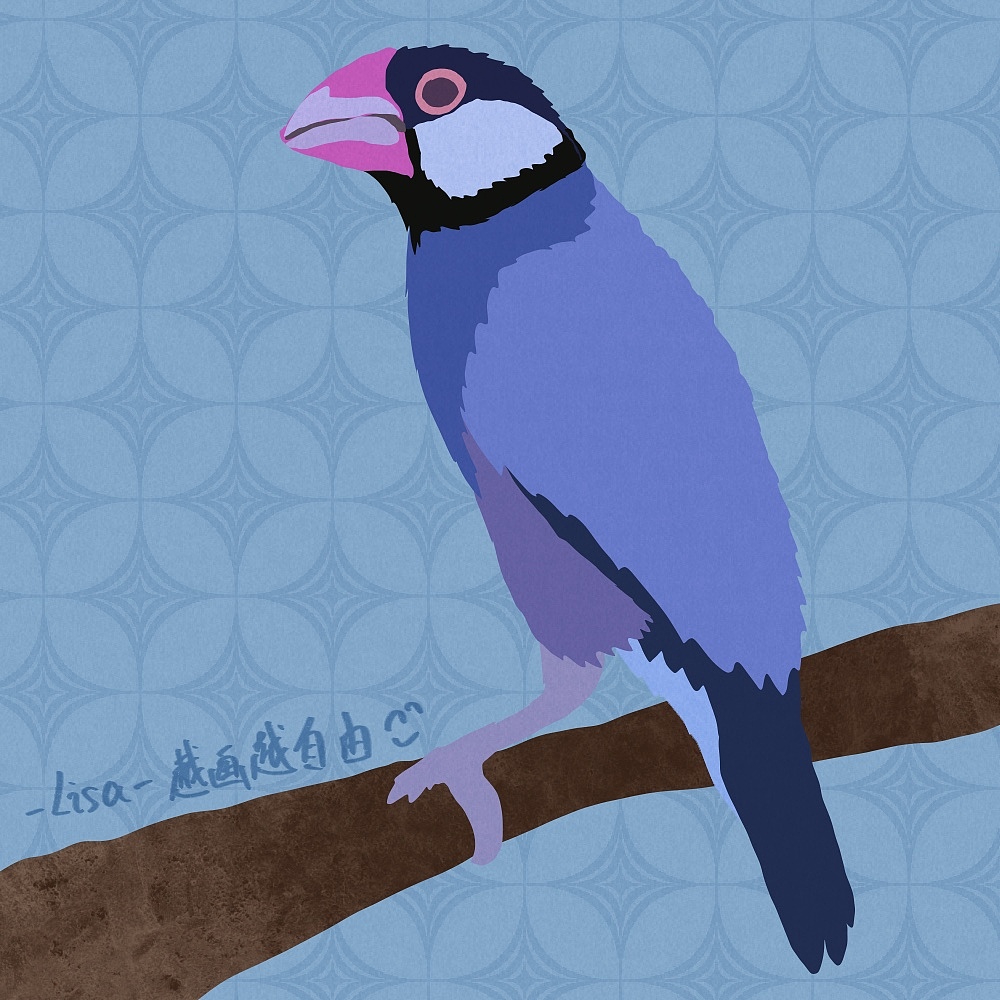 自由插画师可以为世界做些什么—81只鸟作品集