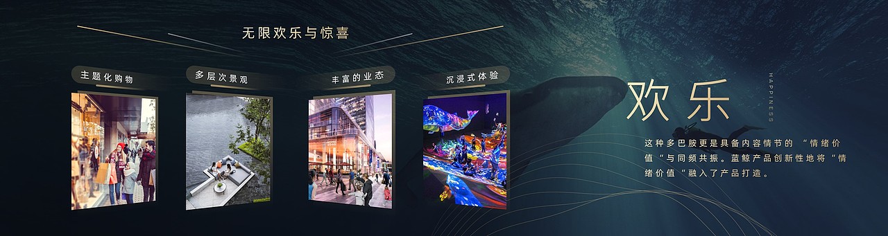 PPT定制/龙光商业/鲸影共赢发布会