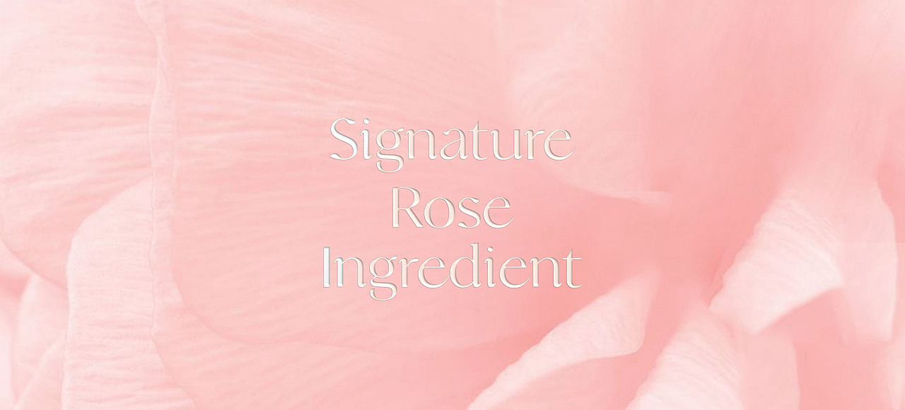 MARGUERNA | 护肤品包装设计