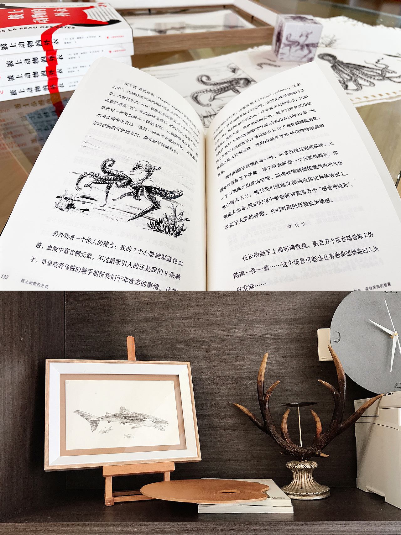 科普绘图|了解一种动物的最好方法是——成为它!(图ZMzE5Mjc4MzQw) - 艺术插画 - 站酷设计师插画师西米鹿原创素材 - 站酷ZCOOL