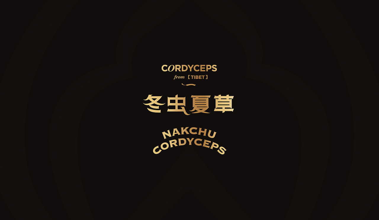 藏地传奇Tibet Cordyceps - 虫草品牌VI设计&包装设计（图ZMzI4MDE3NzQ0） - 包装 - 站酷设计师亿电设eDeSIGN原创素材 - 站酷ZCOOL