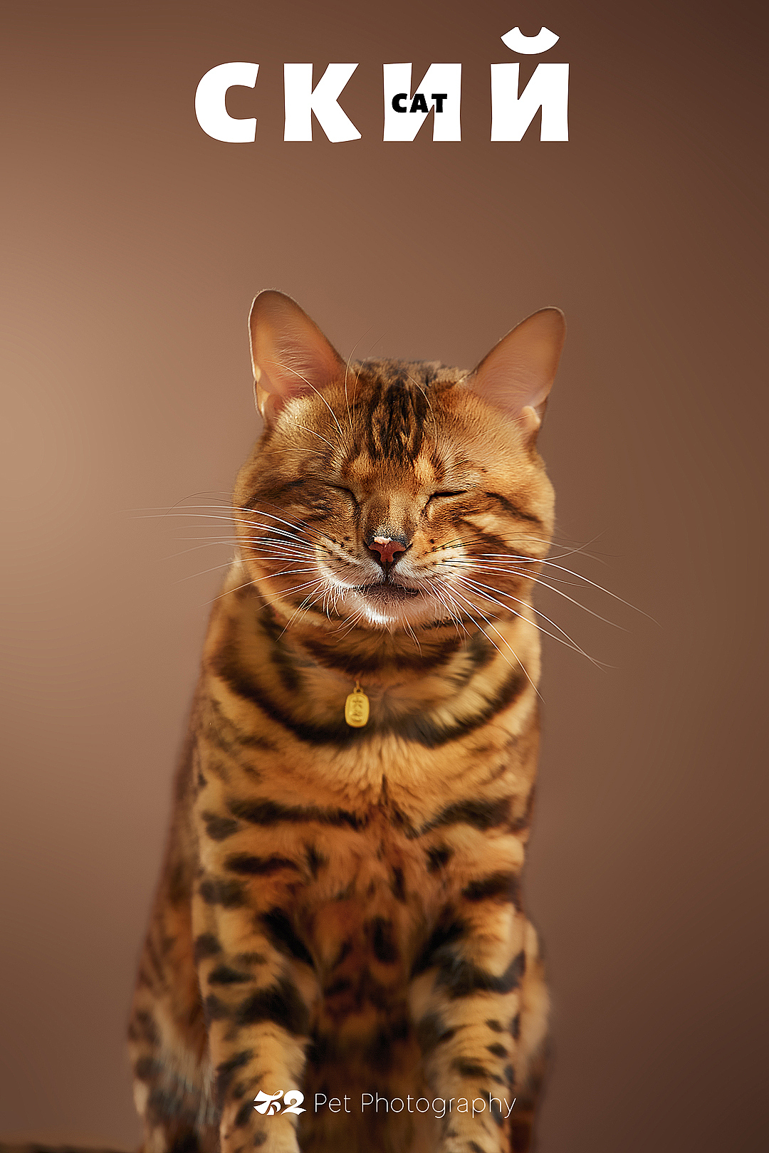 烟台美食摄影 | 萌宠 ✖ 不二造相