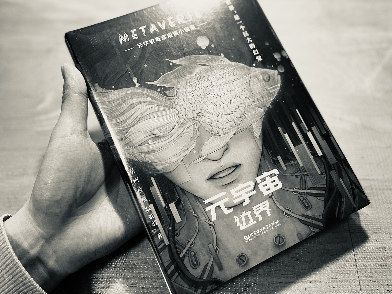 《元宇宙-邊界》小說封面創(chuàng)作（圖ZMzI2NzYwMzE2） - 商業(yè)插畫 - 站酷設(shè)計(jì)師一只Anthony原創(chuàng)素材 - 站酷ZCOOL