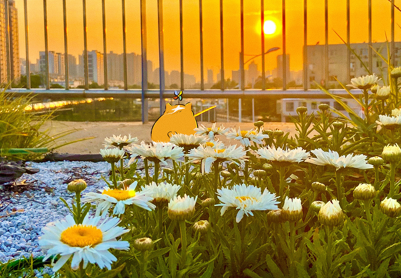 照片插畫 | 這個(gè)夏天（圖ZMzAyNTEyMTQ4） - 創(chuàng)作習(xí)作 - 站酷設(shè)計(jì)師Joynii原創(chuàng)素材 - 站酷ZCOOL