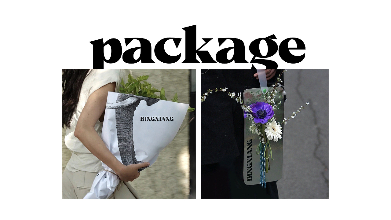 《跃上高阶职场》冰象提案 PPT