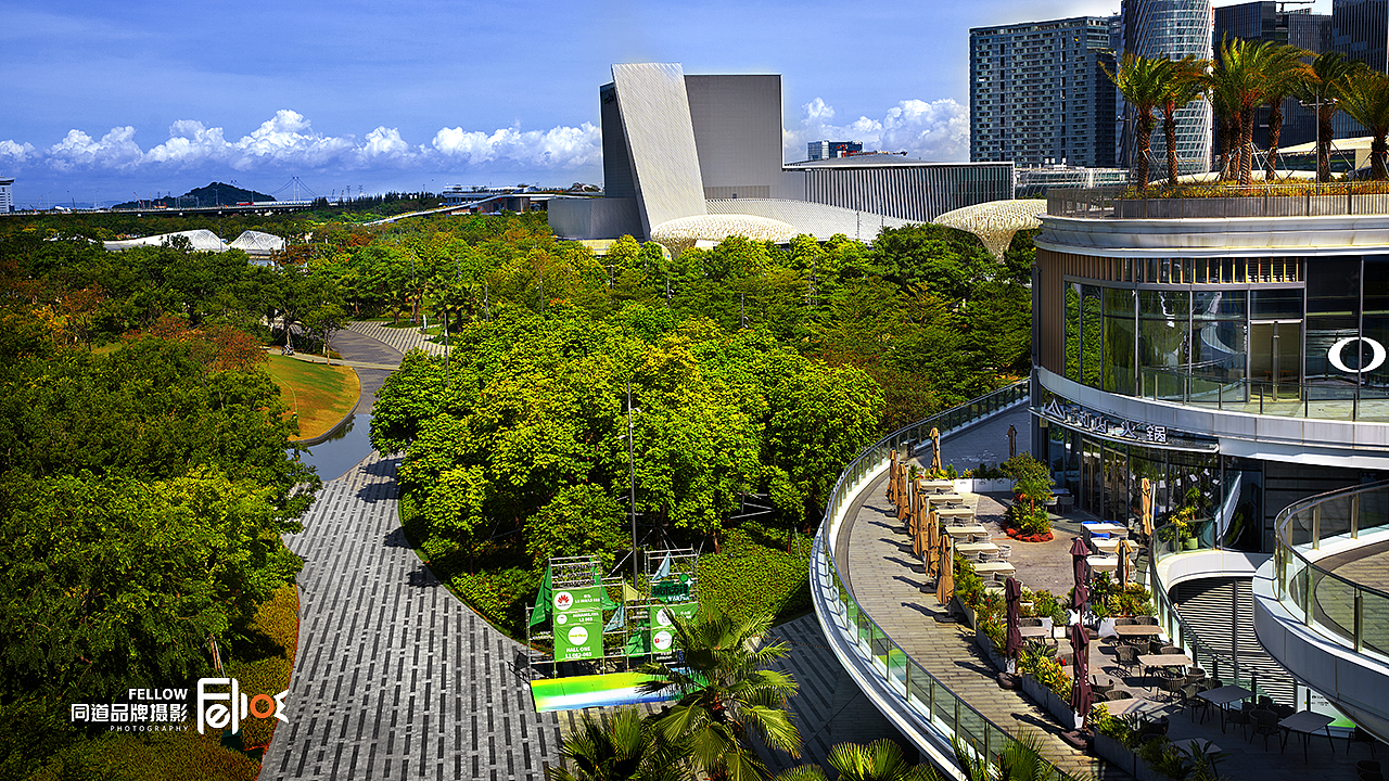 前海欢乐海湾摩天轮