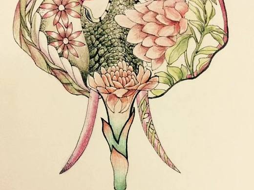 四五年前画的一些插画了，都是自己身边的一些小想法