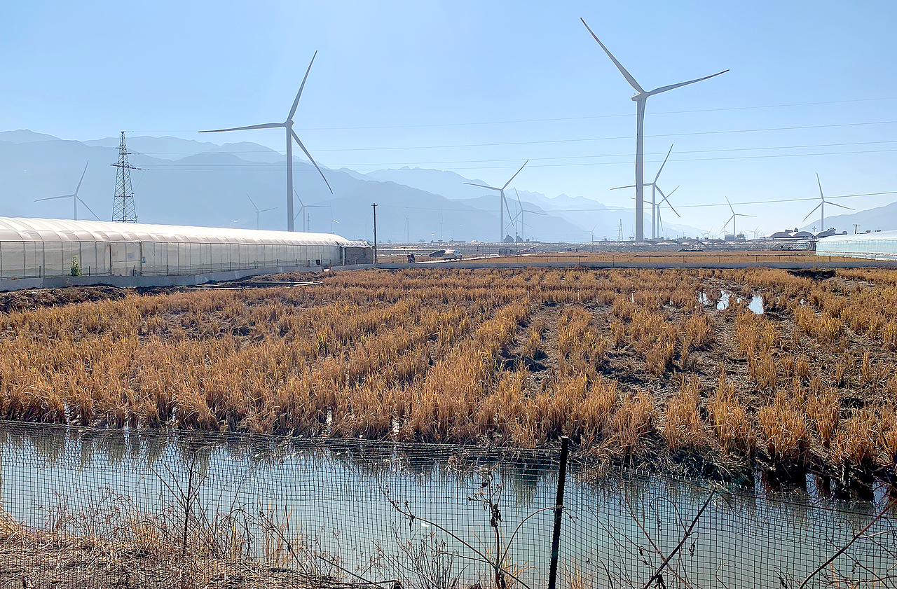 安宁河谷1500米×此山｜与西昌政府合作的大米品牌全案（图ZMzQxMjg3MjE2） - 品牌 - 站酷设计师此山品牌设计原创素材 - 站酷ZCOOL