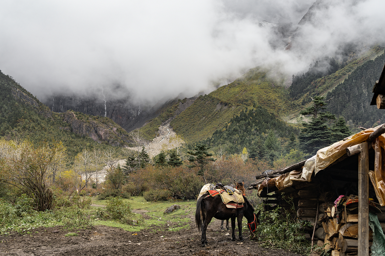 重返香格里拉2022
