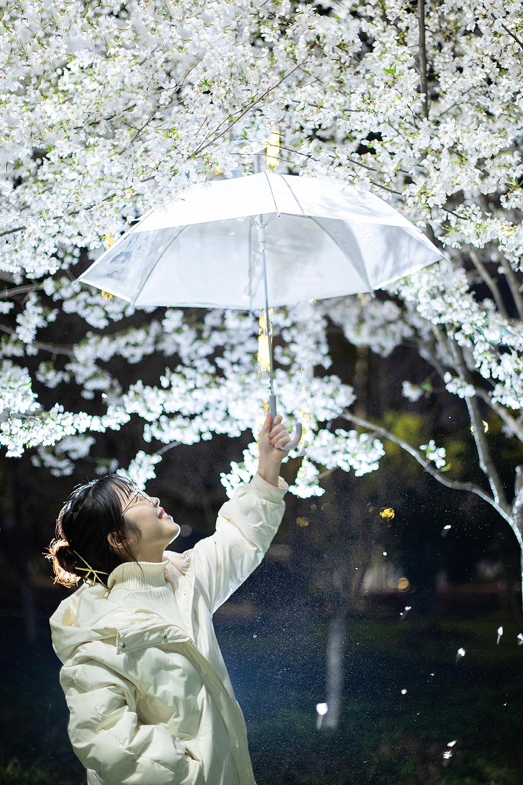 【写真】当她站在樱花树下 Series 4