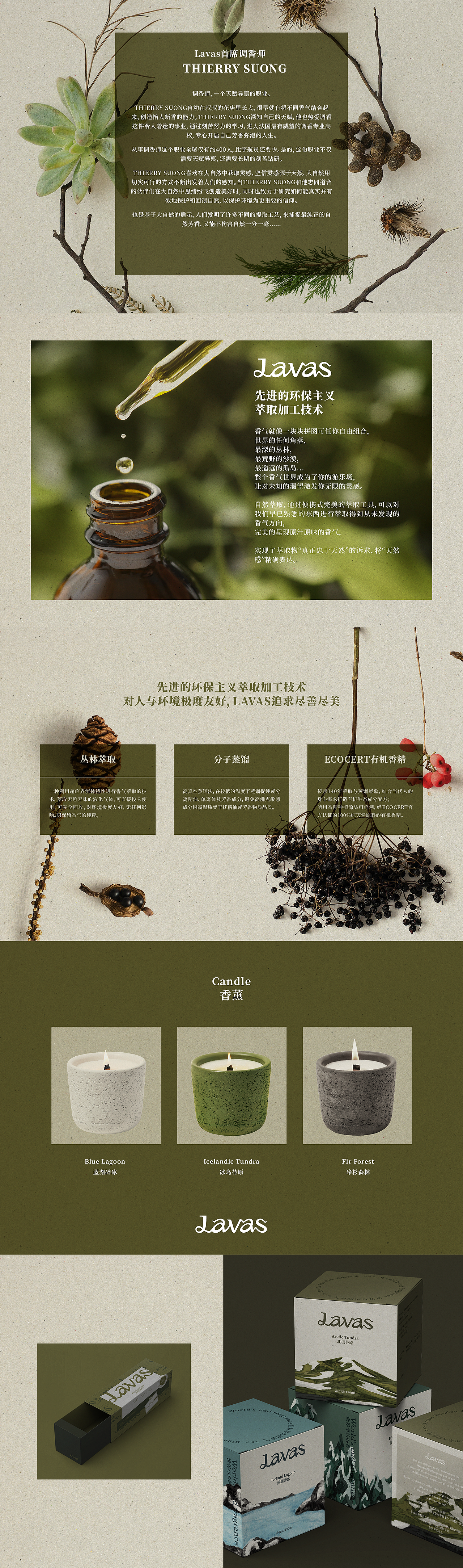 Lavas品牌策划&VI