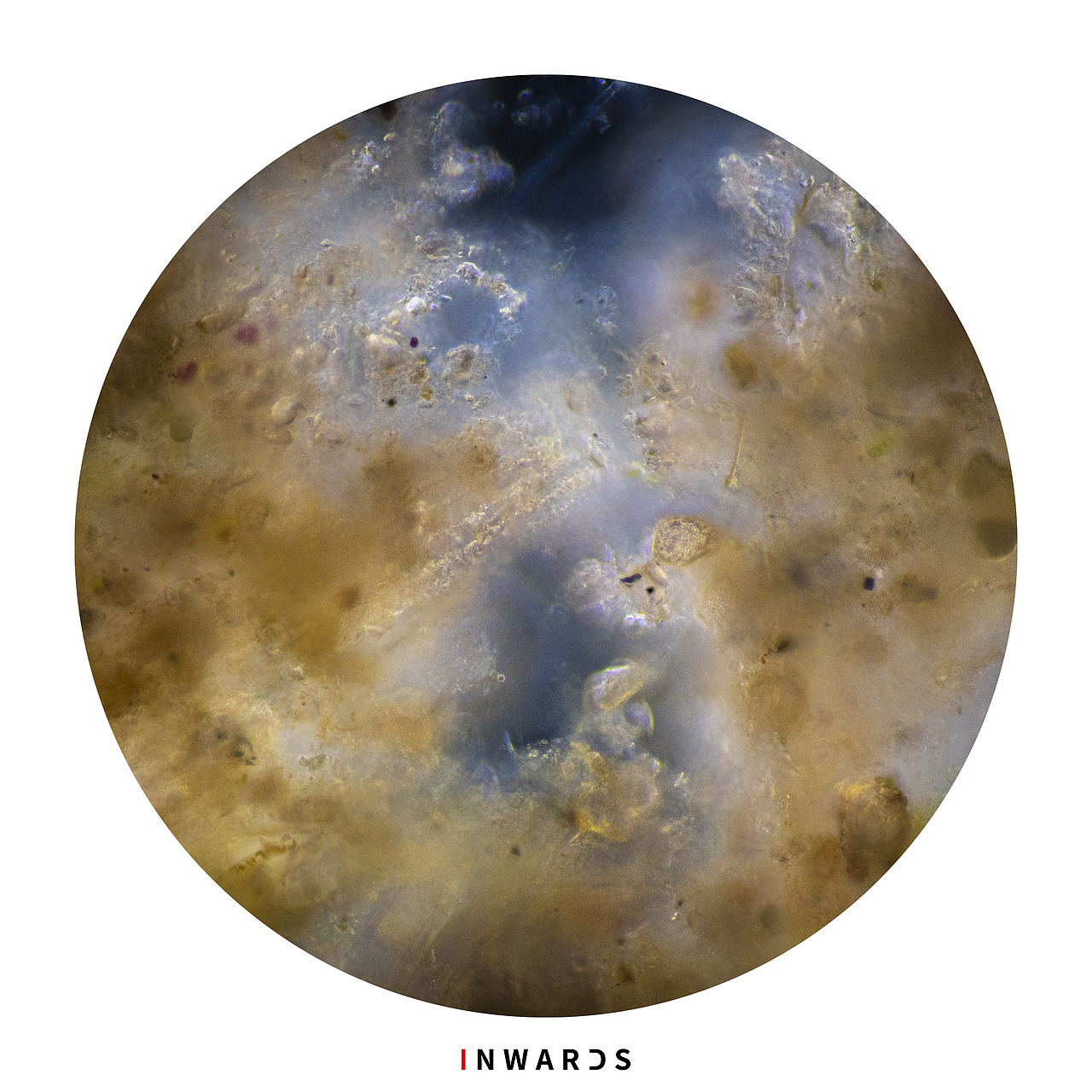 🦠（图ZMzAxOTEyOTc2） - 其他摄影 - 站酷设计师侯伯Sur原创素材 - 站酷ZCOOL