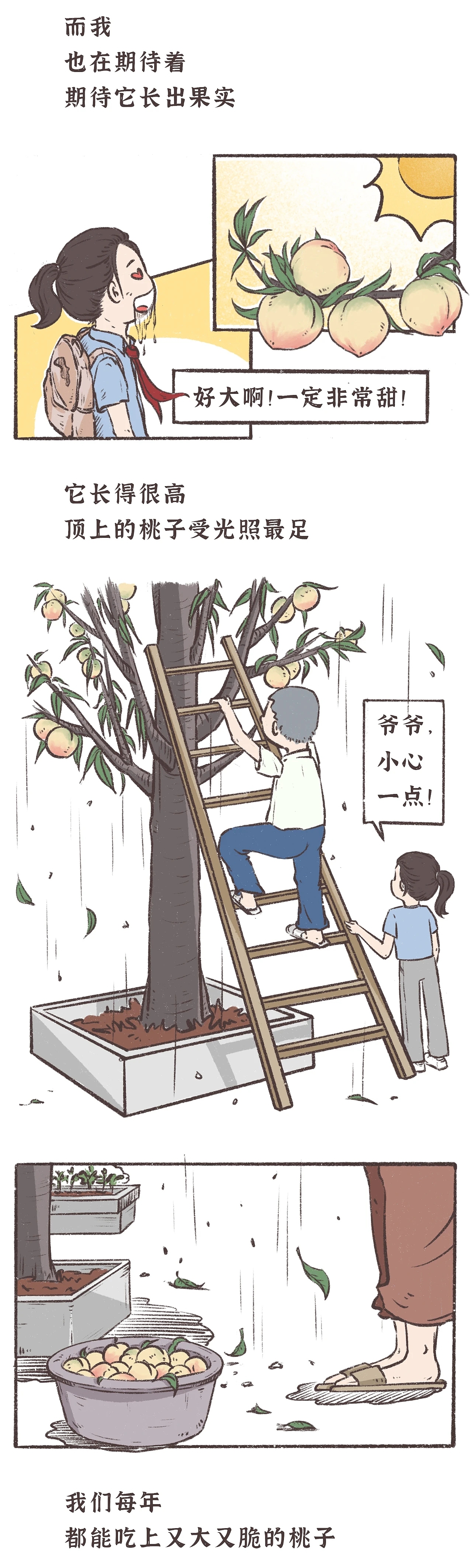 《一棵结果的树》