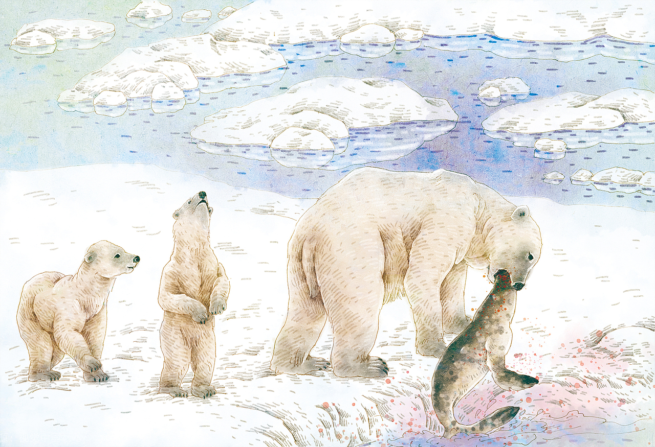 儿童插画 ▏《水彩动物绘本》24册