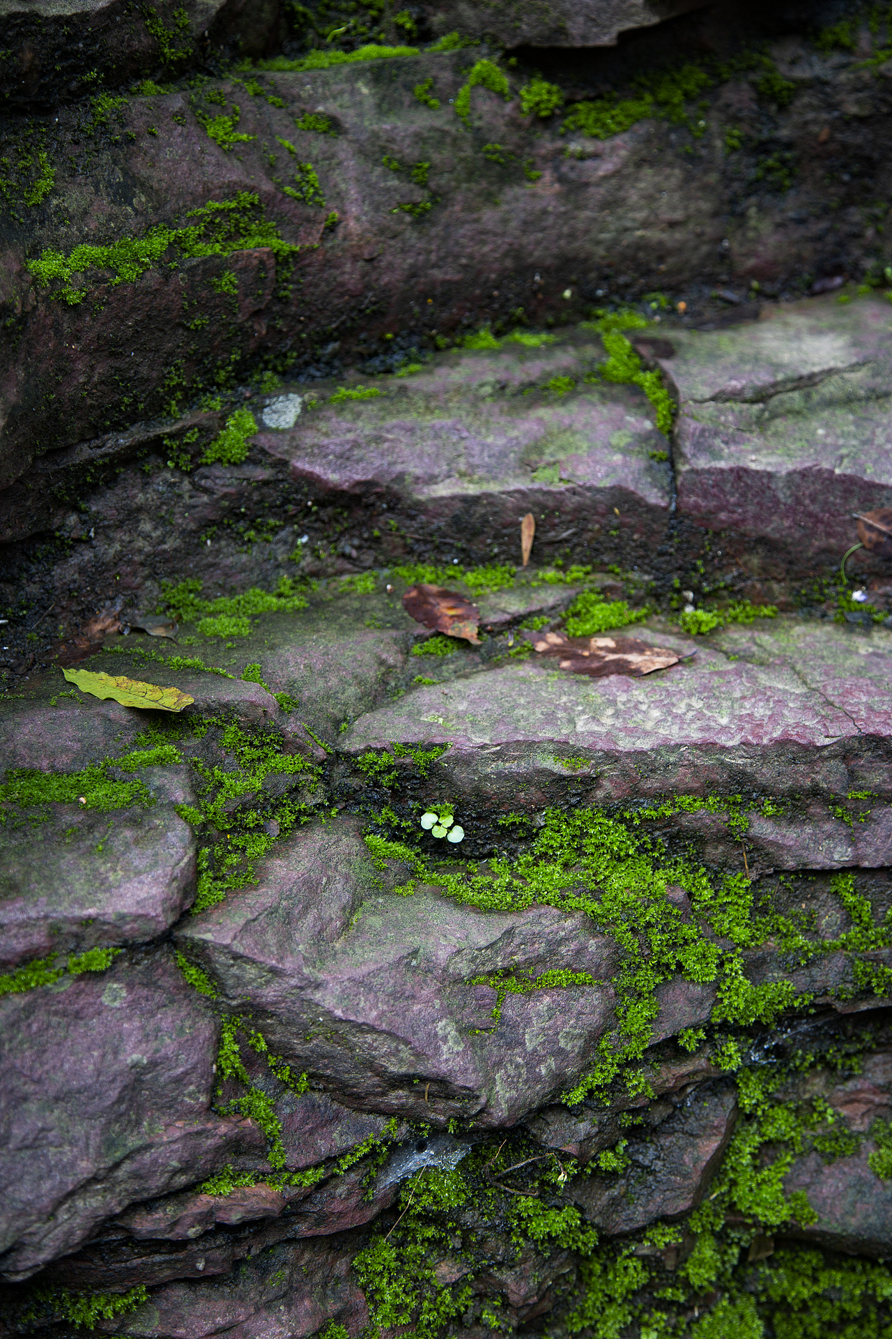 《山水》-盛夏（图ZMzEwMjgzNjg4） - 风光摄影 - 站酷设计师寒塘Y原创素材 - 站酷ZCOOL