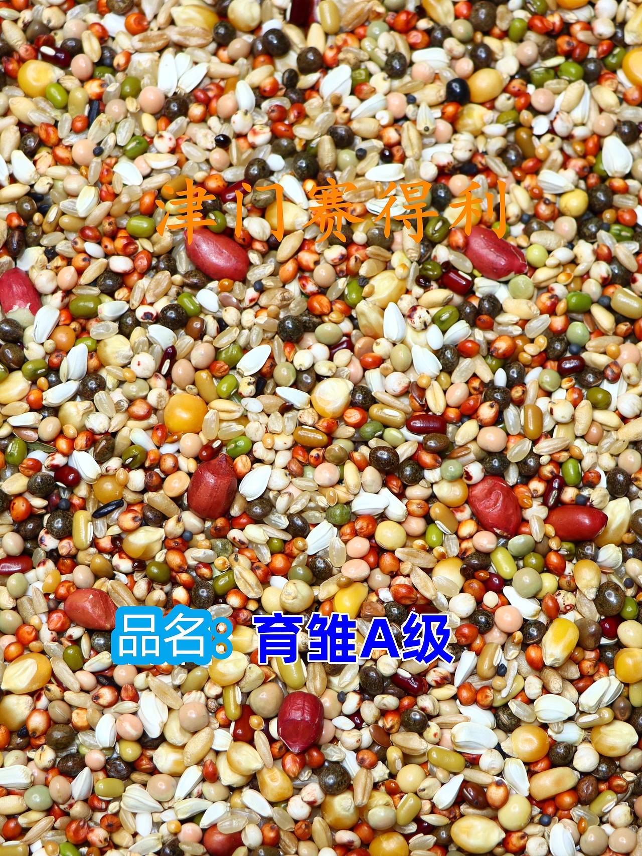 津门赛得利鸽粮产品展示（图ZMzU0NjkwMDEy） - 其他 - 站酷设计师那个小高哪里都好原创素材 - 站酷ZCOOL