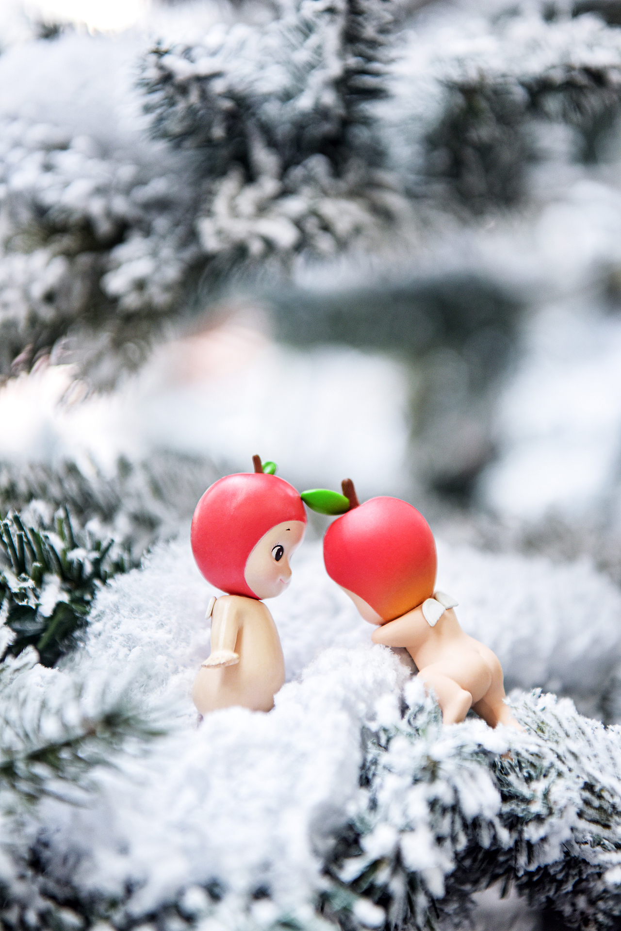 圣诞快乐小伙伴们