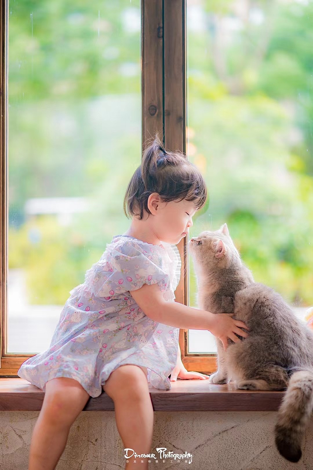 特别的家人（图ZMzEyNDQ4MTY0） - 婚礼摄影 - 站酷设计师恐龙宠物摄影原创素材 - 站酷ZCOOL