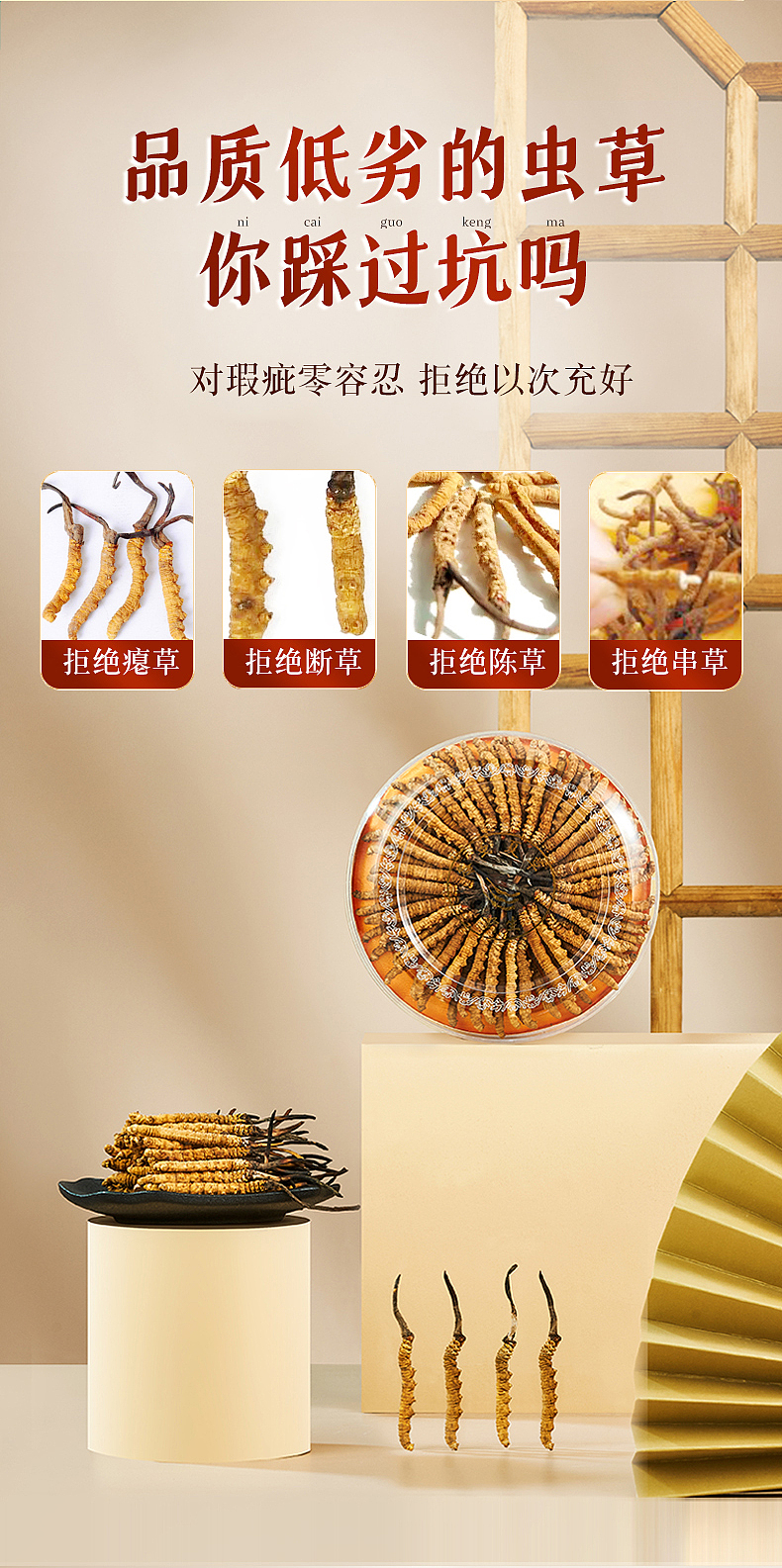 虫草 藏干 滋补品 详情