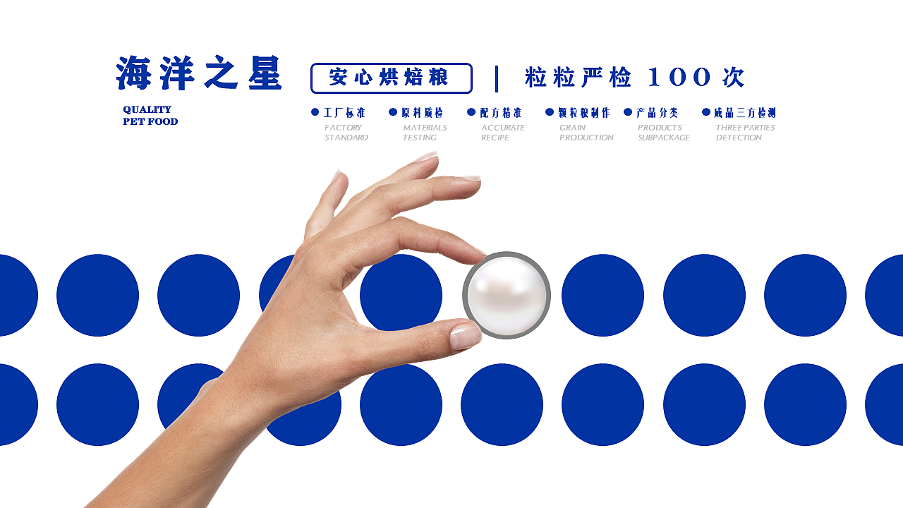 宠物粮产品推介PPT