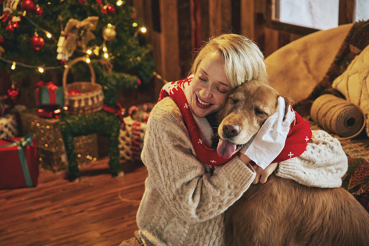 商业拍摄-宠物护理产品圣诞节主题拍摄