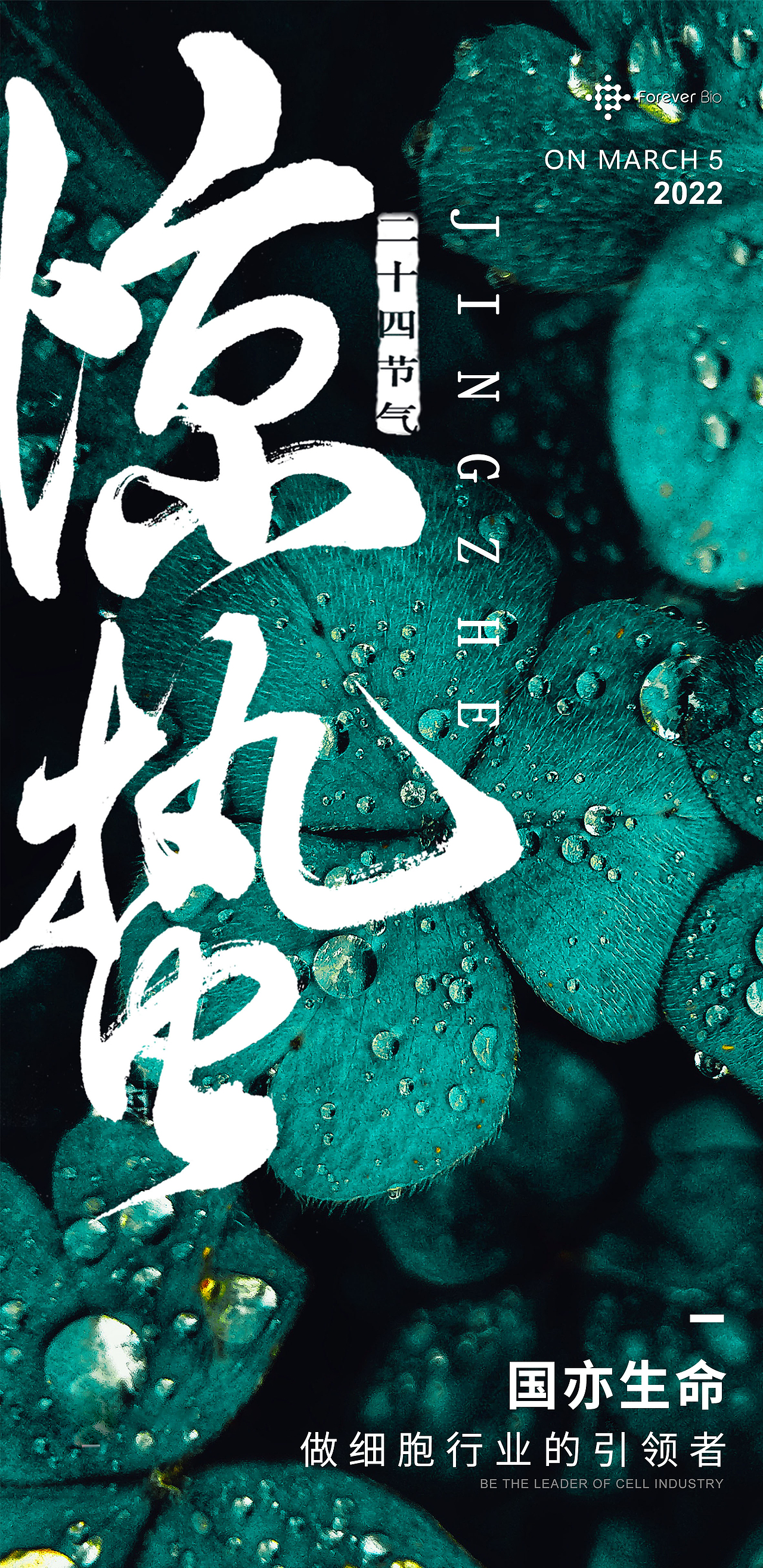 节日海报（图ZMzA2Njc0Mjg0） - 海报 - 站酷设计师逆向高潮原创素材 - 站酷ZCOOL