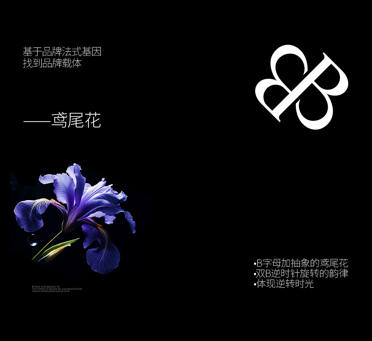 “销量5亿+,抖音TOP级美妆品牌全案打造”