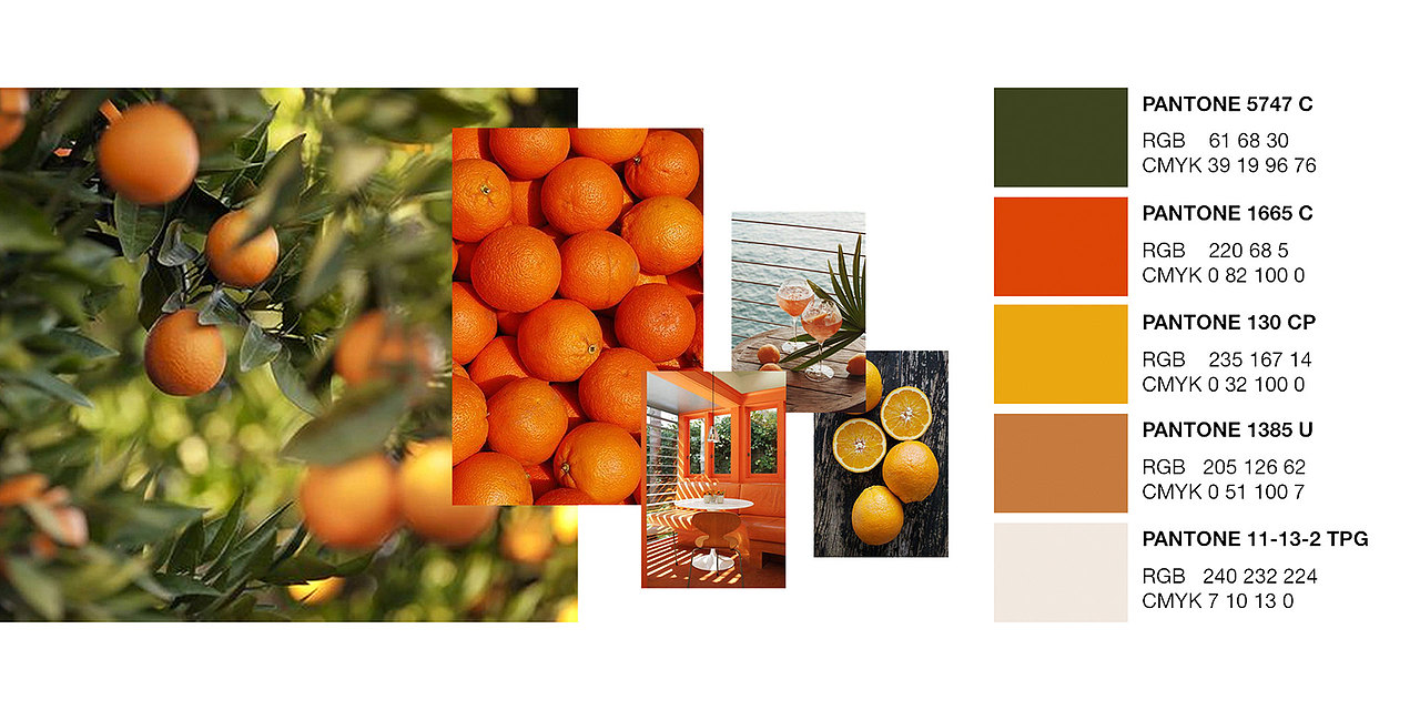 Laranja品牌与包装设计