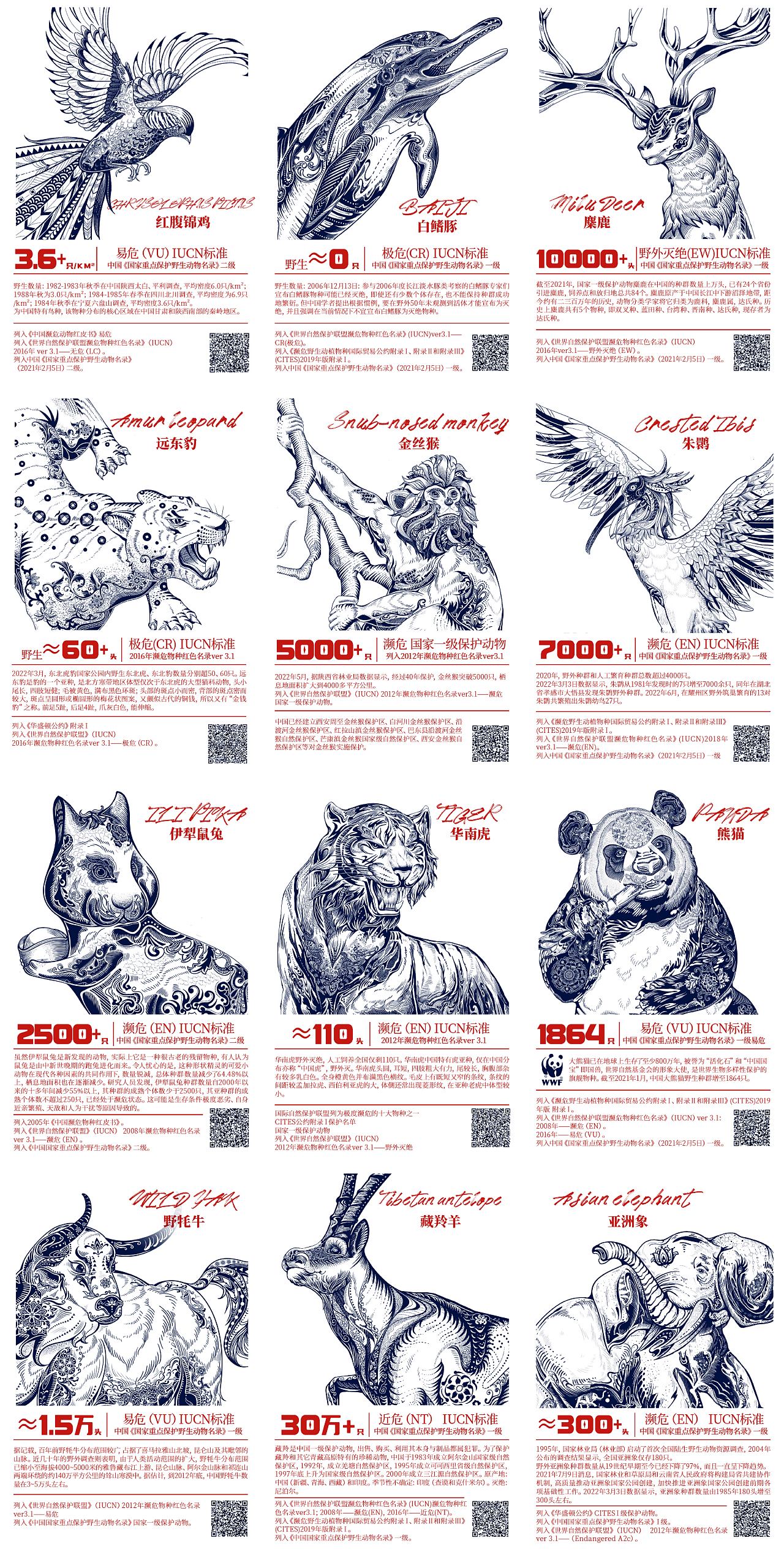 濒危动物系列国潮插画