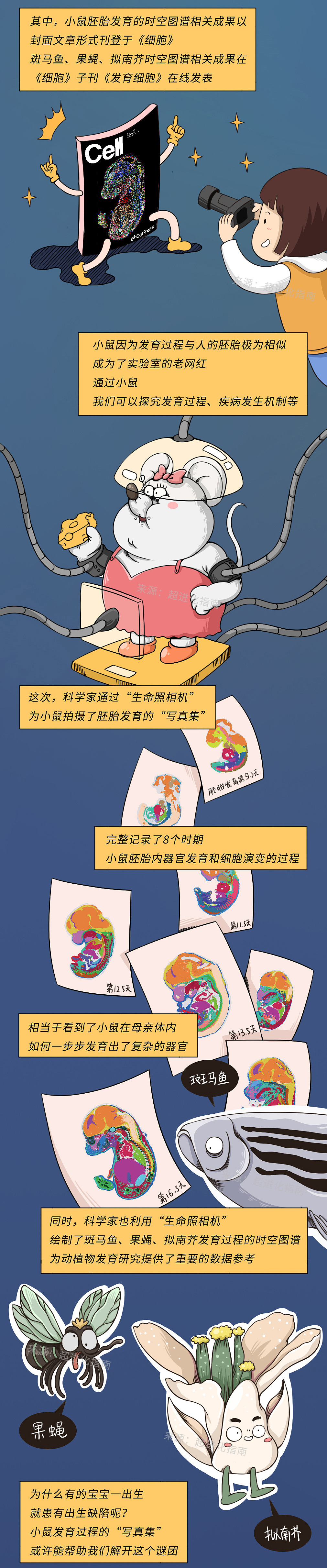 “超级生命照相机”——时空组学技术【华大基因商稿】