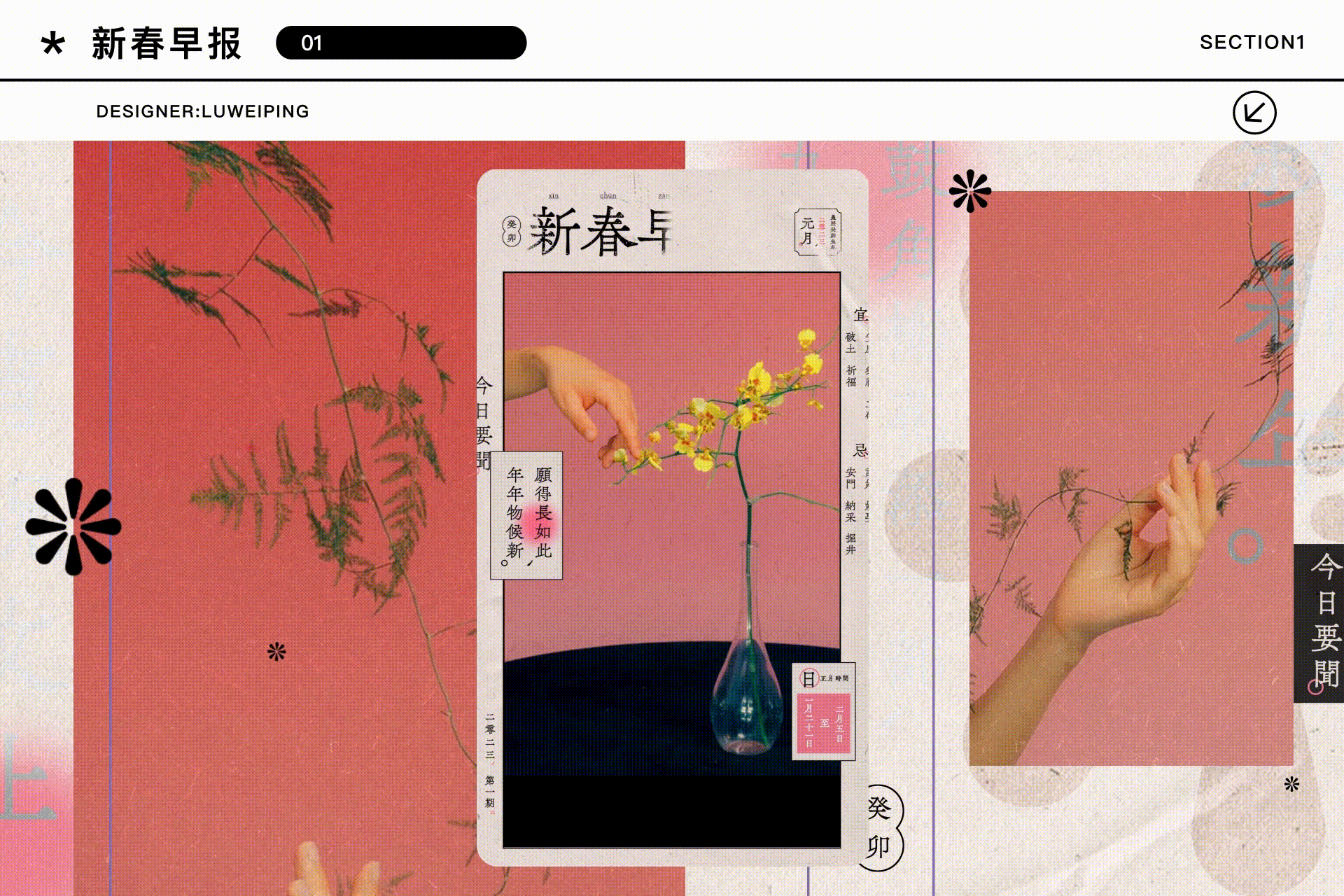 短视频模板设计|快手